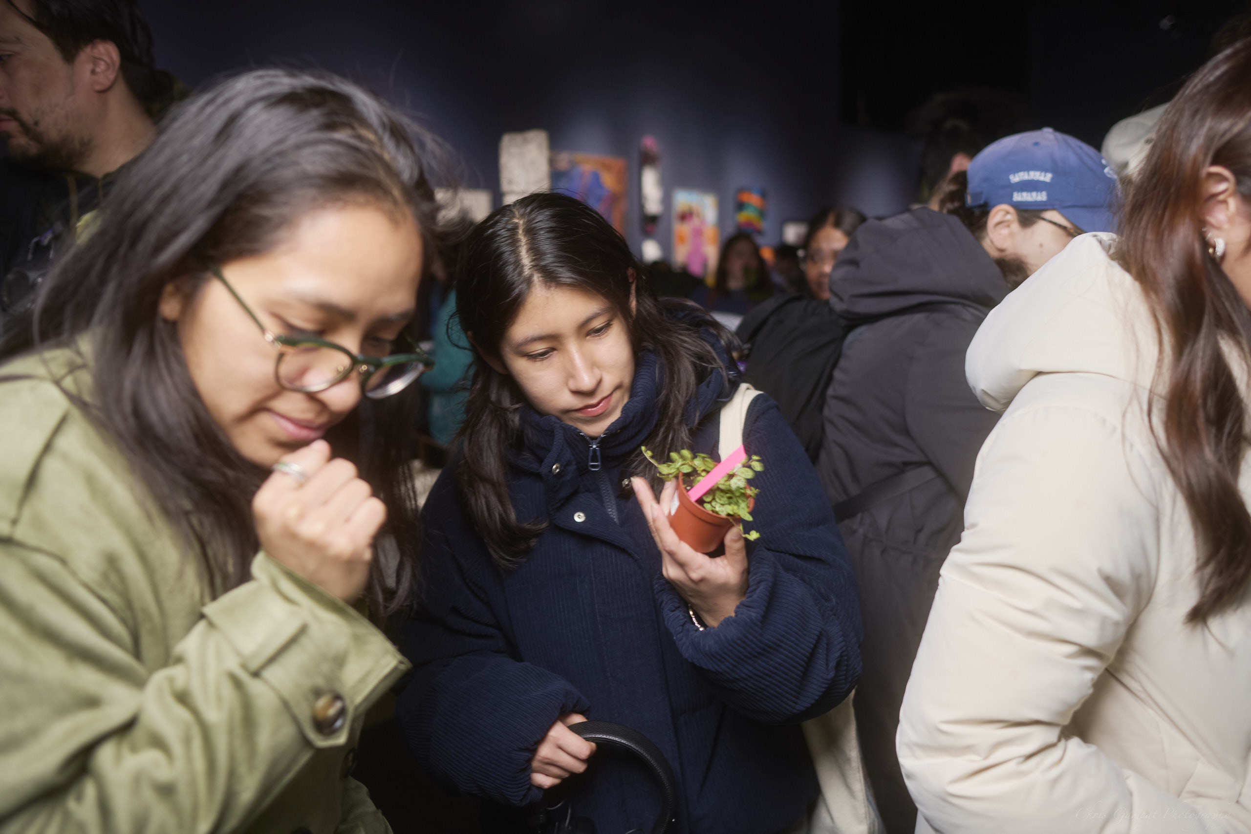 Plant Market April 2026 by Chris Gampat 138